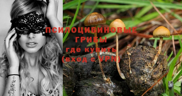 стаф Алексеевка