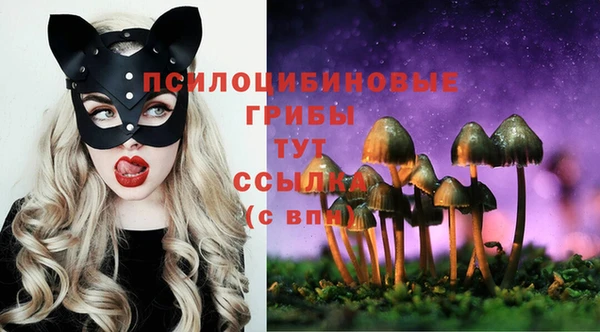 стаф Алексеевка